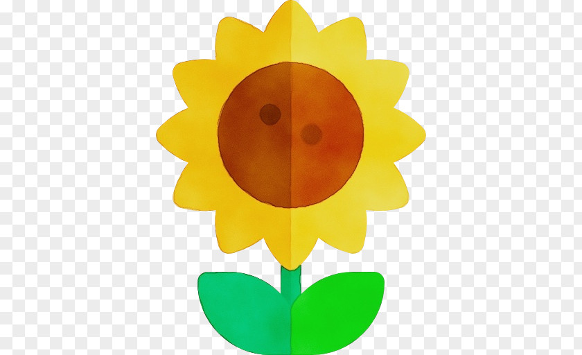 Smile Petal Sunflower PNG