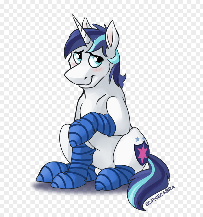 Cat Pony DeviantArt Fan Art PNG