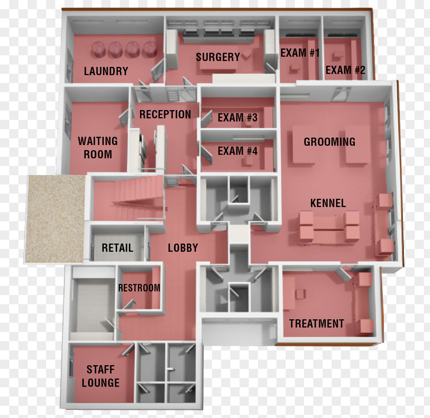 Dog Cat Floor Plan Veterinarian PNG