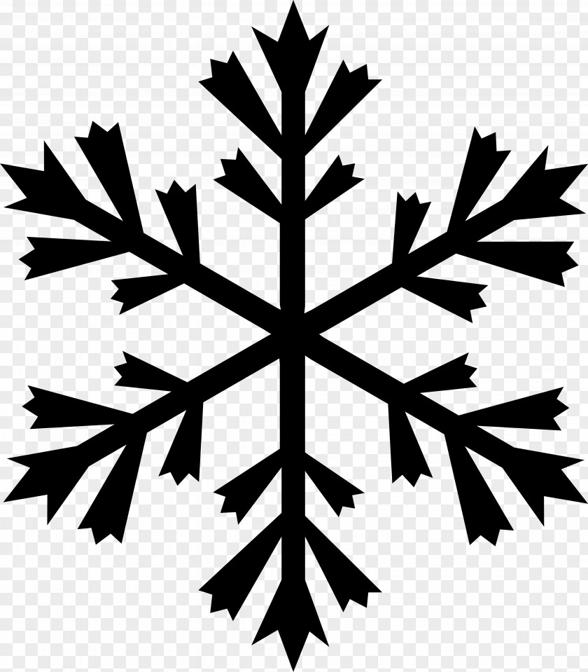 Download AI Snowflake Logo PNG