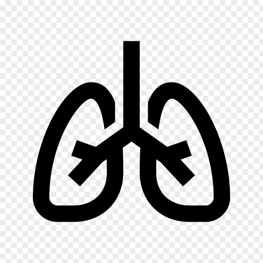 Lungs Lung Symbol PNG