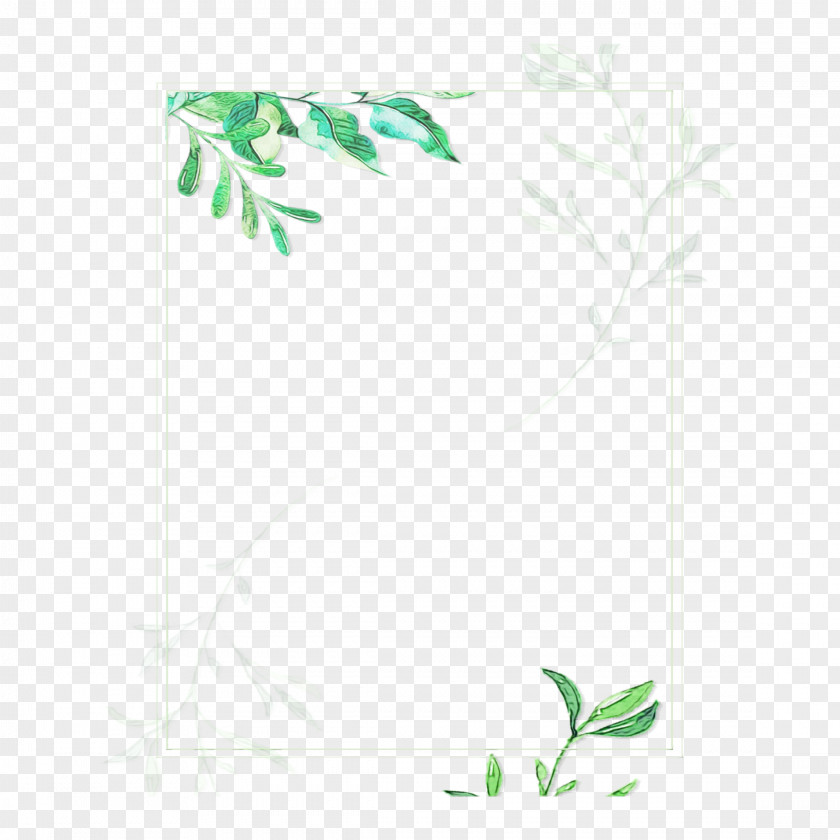 Stationery Rectangle Green Leaf Watercolor PNG