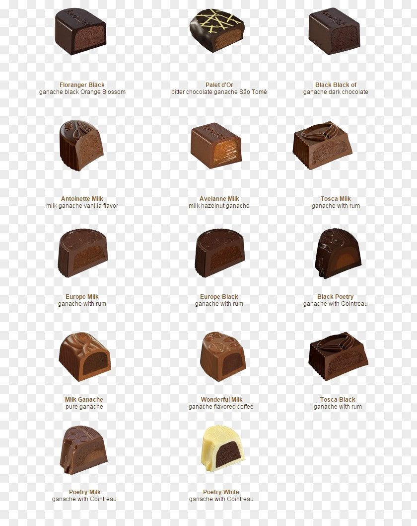 Chocolate Praline Ganache Truffle Belgian Cream PNG