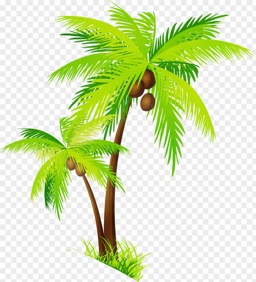 Clip Art Coconut Palm Trees Transparency PNG