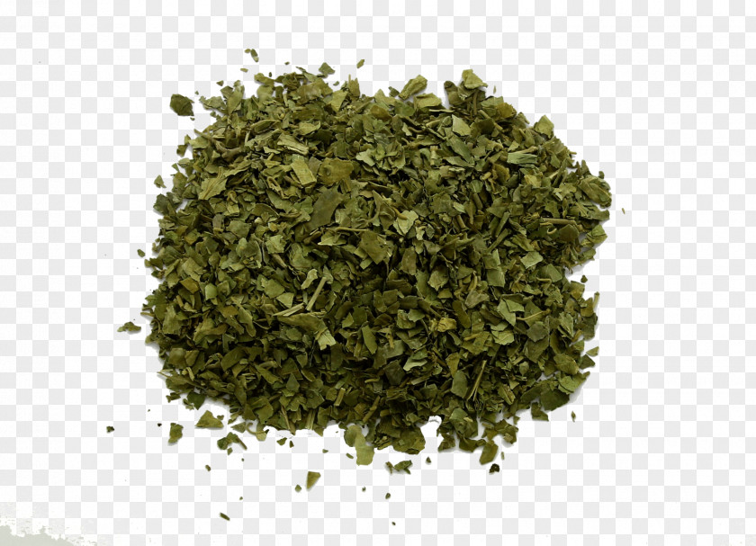 Dried Leaves Gurmar Gymnemic Acid Herb Superfood Gymnema Inodorum PNG