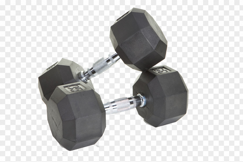 Dumbbell Barbell Pound CrossFit Weight Training PNG