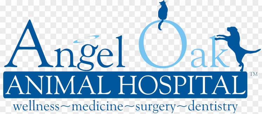 Maybank Logo Angel Oak Animal Hospital Inc Dentistry Dental Antibiotic Prophylaxis Anesthesia Tooth Pathology PNG