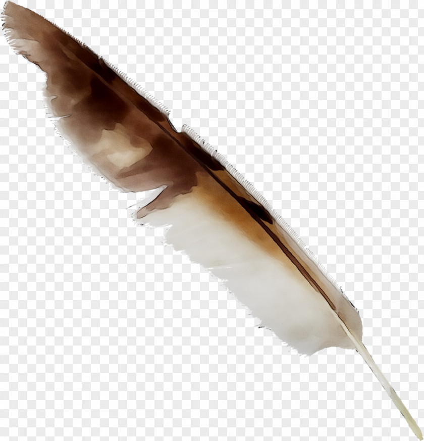 Feather PNG