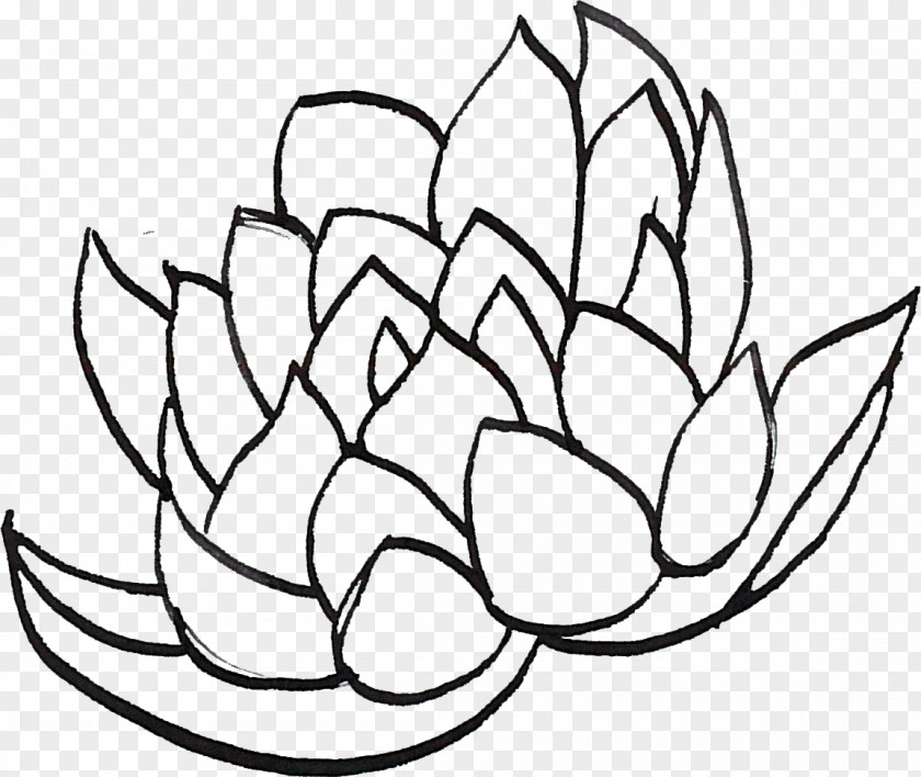 Line Drawing Lotus Art Clip PNG