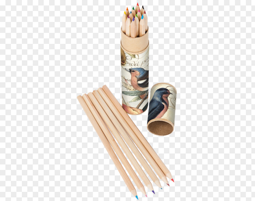 Pencil Colored Paper Crayola PNG