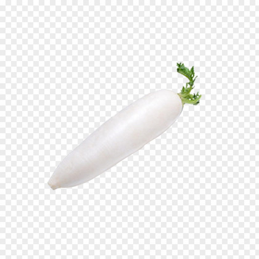 White Radish, Map Vegetable PNG