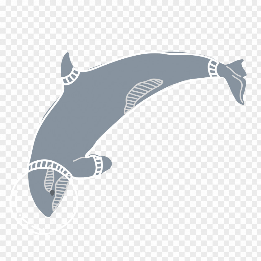Blue Shark Animal PNG