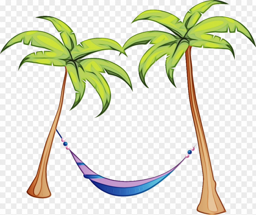 Coconut Flowering Plant Tree Cartoon PNG