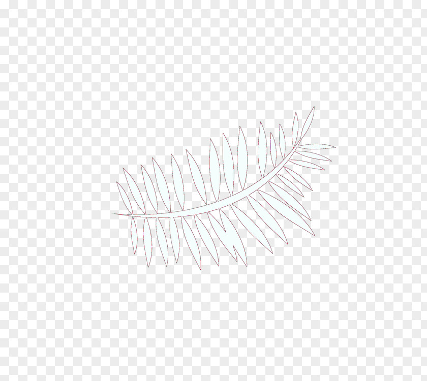 Fashion Accessory Eyelash Extensions Feather PNG