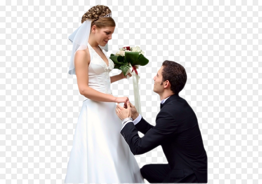 Gelin Damat Wedding Dress Marriage Bridegroom PNG