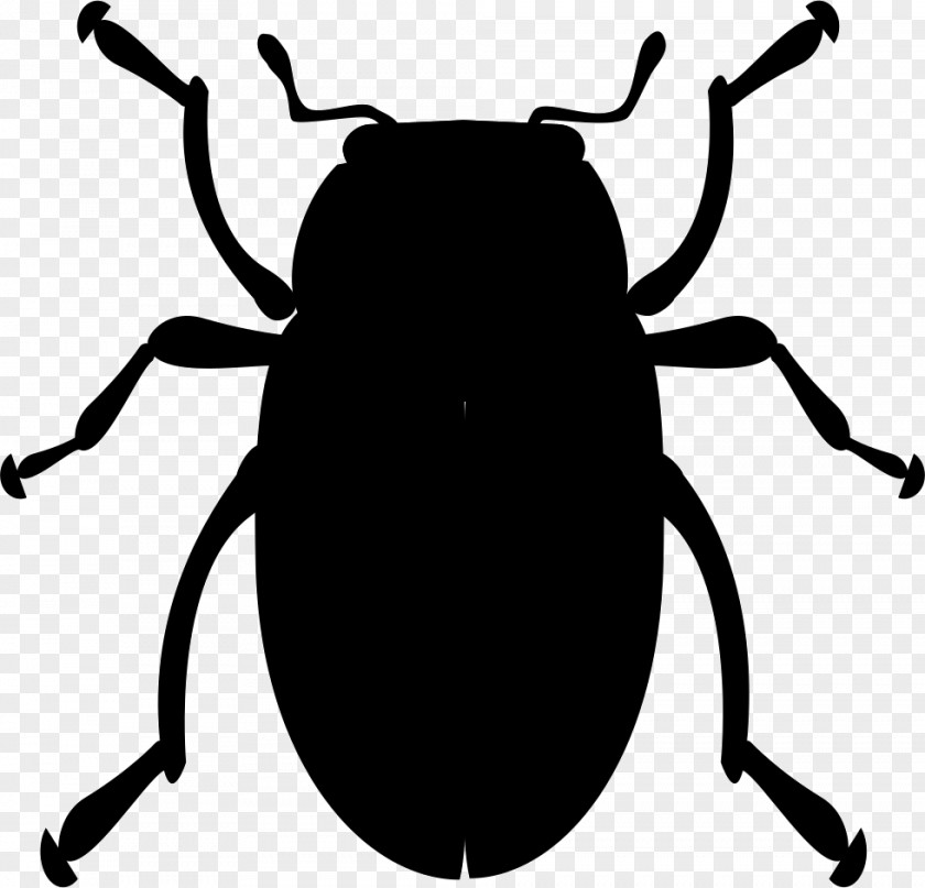 Insect Volkswagen Beetle Ladybird Clip Art PNG