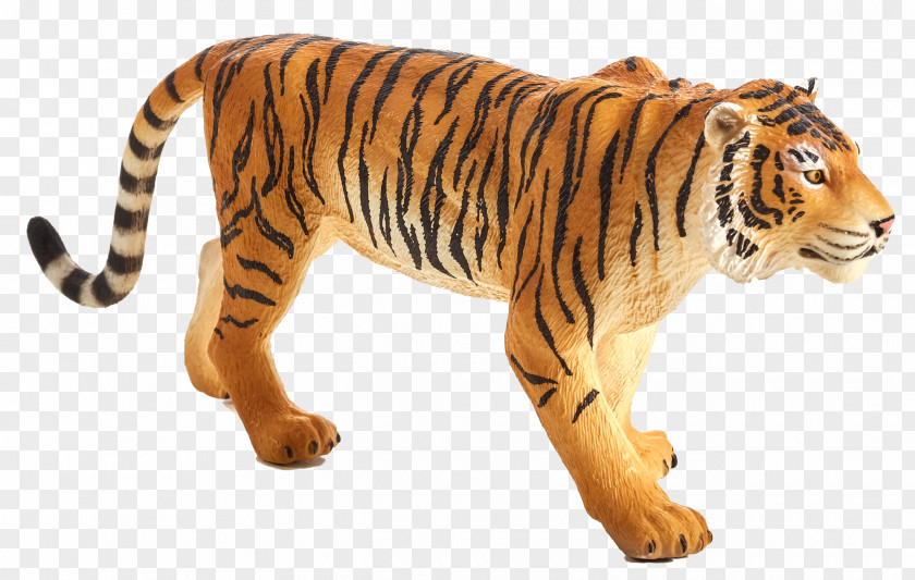 Mangrove Bengal Tiger Wildlife Cat Mammal Thylacine PNG