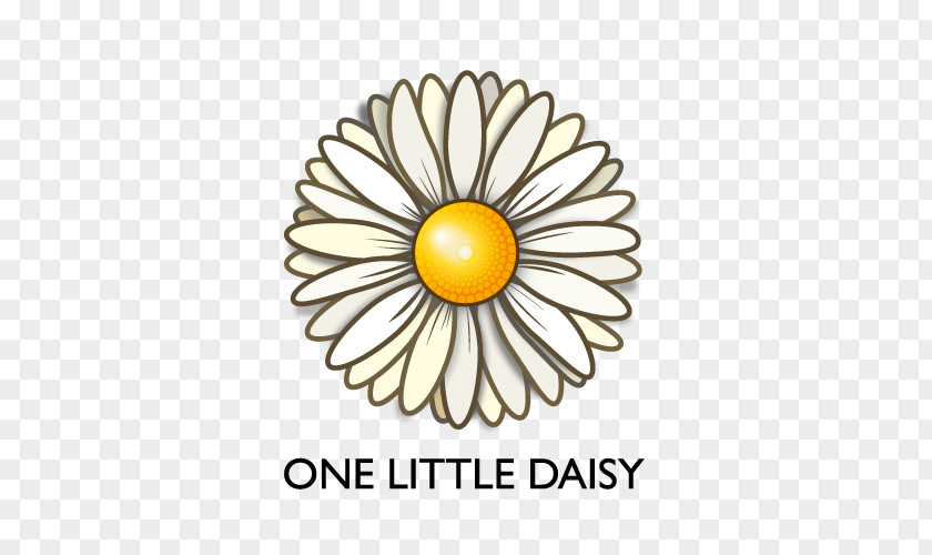Small Daisy One Little Photography Photographer Wedding Stoke-on-Trent PNG