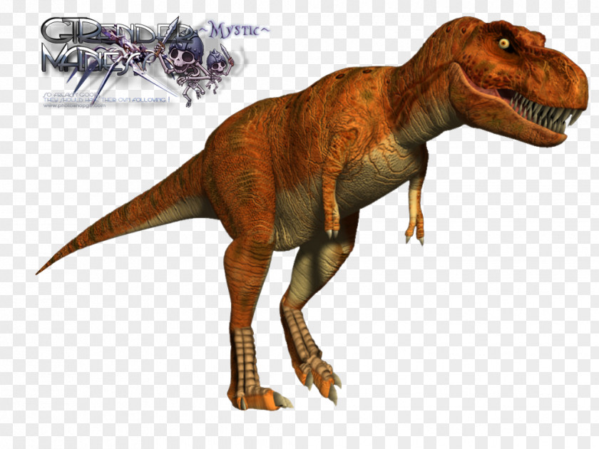 T Rex Tomb Raider: Anniversary Tyrannosaurus Velociraptor Spinosaurus Tyrannosauridae PNG