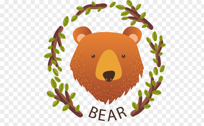 Bear Pictures Animal Drawing Illustrator Illustration PNG