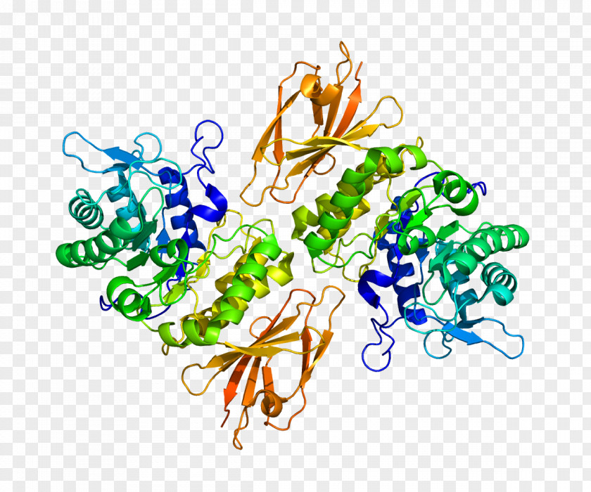 Biological Schindler Disease Alpha-galactosidase Gene Beta-galactosidase Enzyme PNG