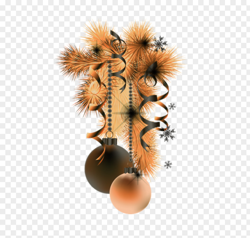 Boule Christmas Ornament Day Fur PNG