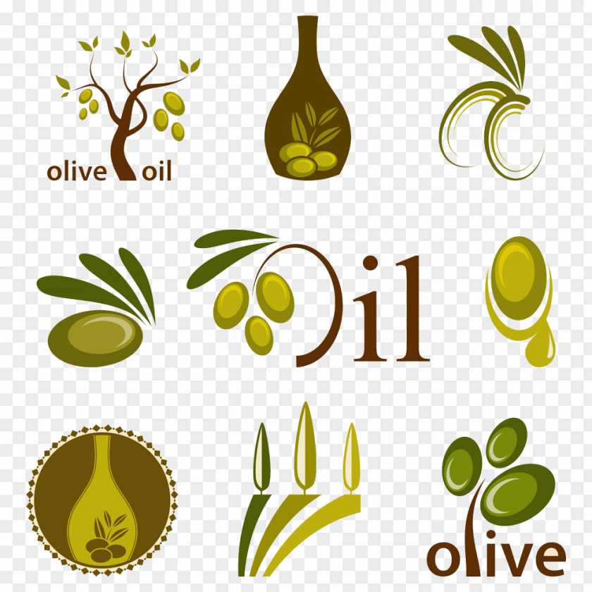 Cartoon Olive Oil Collection Logo PNG