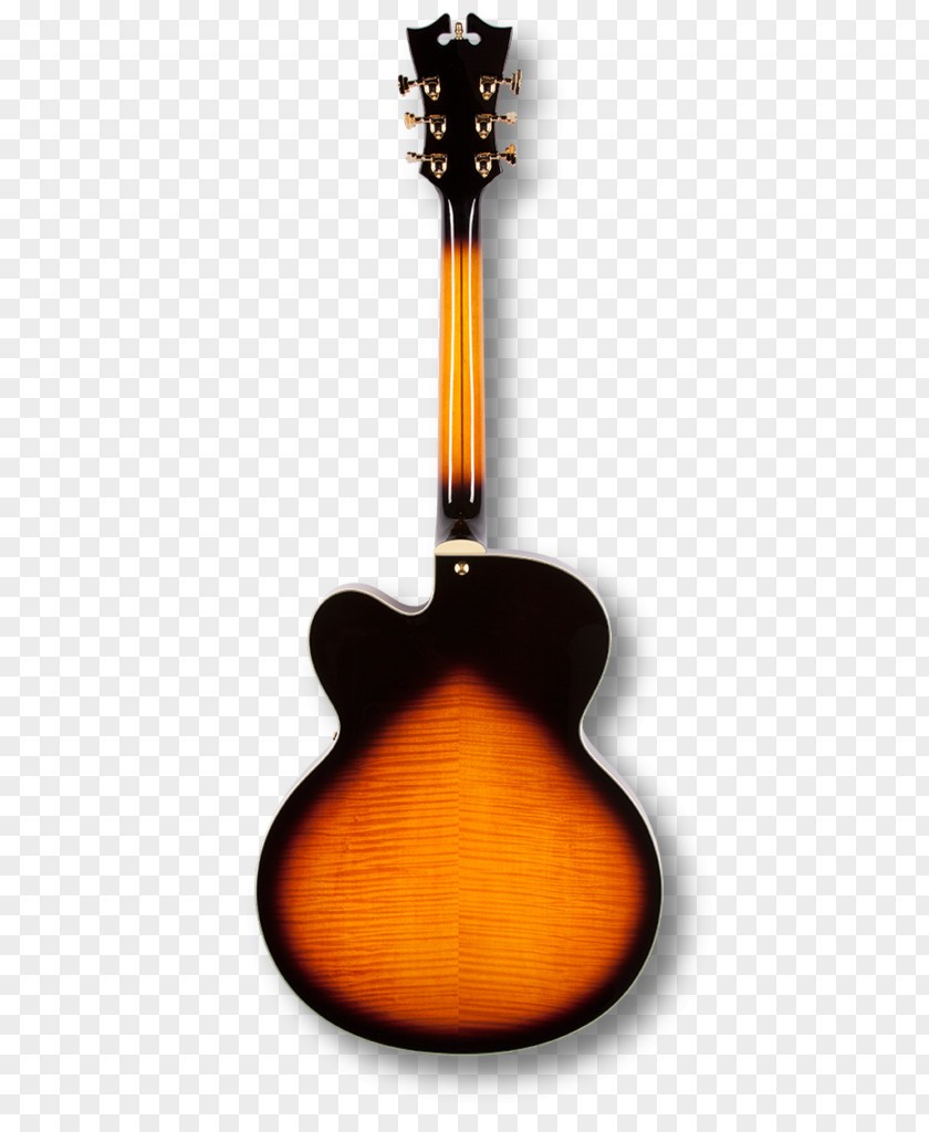 Floating Gold Pieces Acoustic Guitar Epiphone EJ-200CE Acoustic-Electric Mandolin PNG