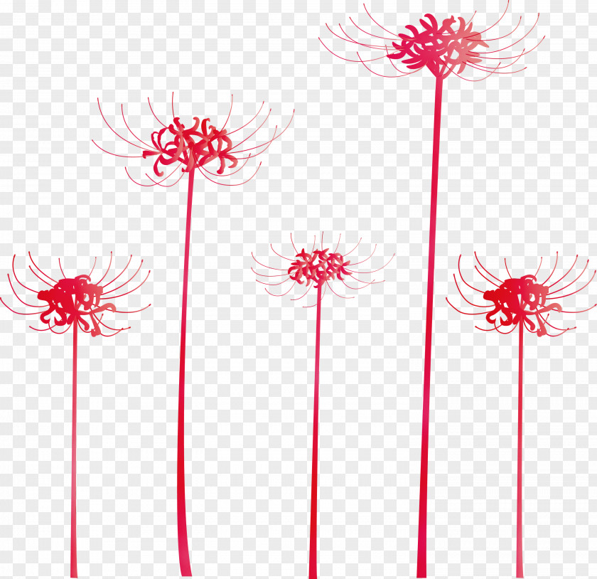 Pink Flower Plant Pedicel Line PNG