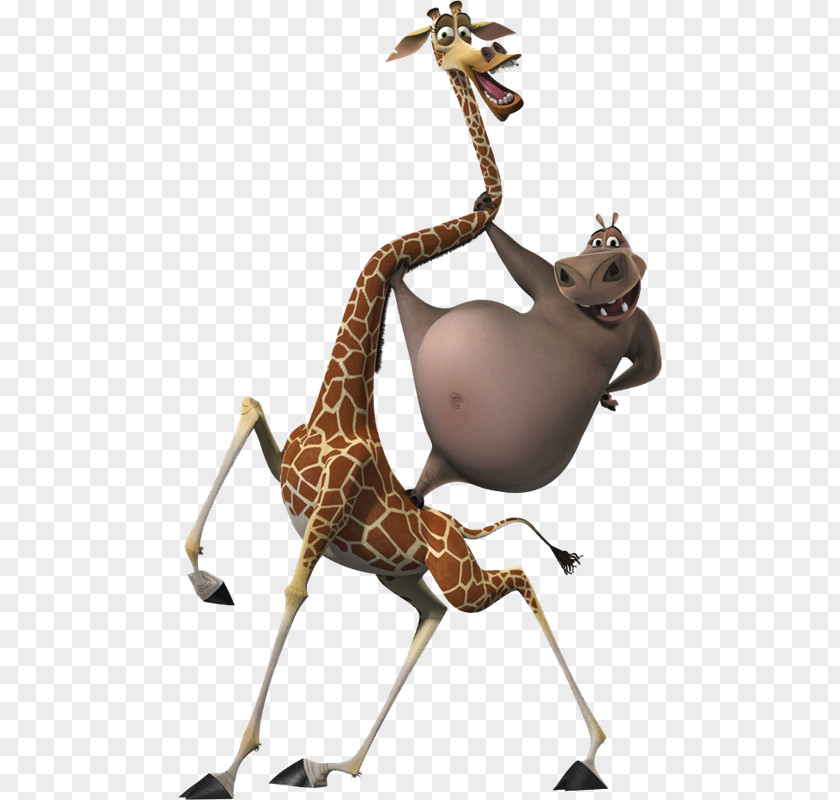 Vbs Gloria Melman Alex Madagascar Film PNG