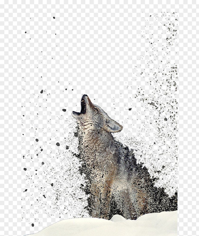 Wolf Totem Gray Coyote T-shirt PNG