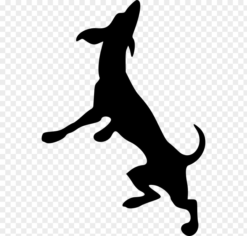 Dog Silhouette Dobermann Greyhound Scotch Collie Clip Art PNG