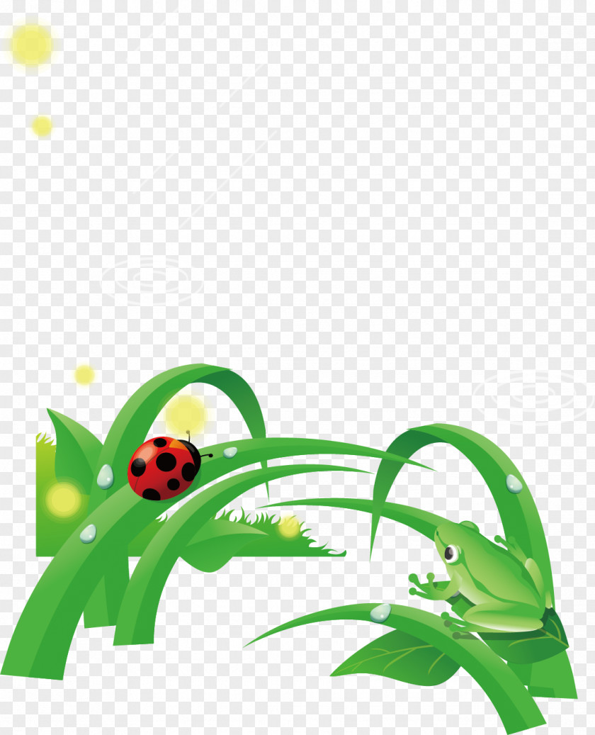Frog Pond Green Leaves Ladybug Poster Element Euclidean Vector Clip Art PNG