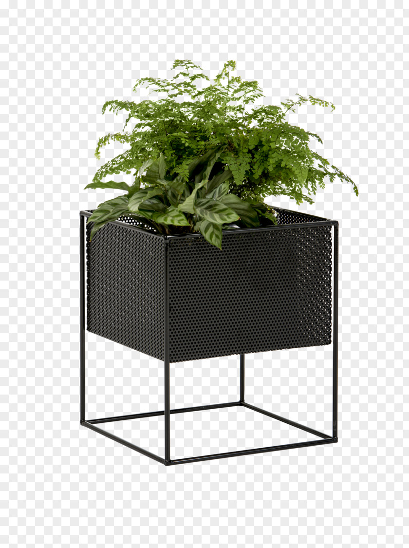 Indoor Flower Box Metal Plants Garden PNG