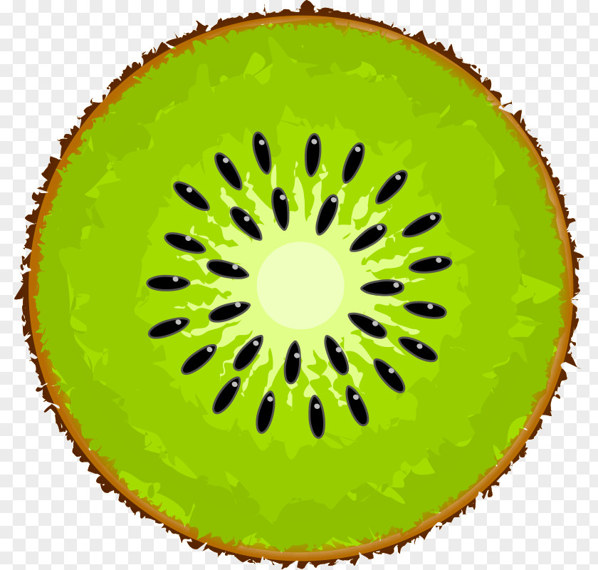 Kiwi Kiwifruit Clip Art PNG