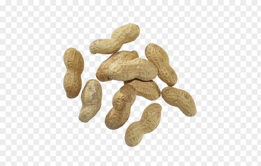 Peanuts Ice Cream Flavor The New York Times Magazine Nut PNG