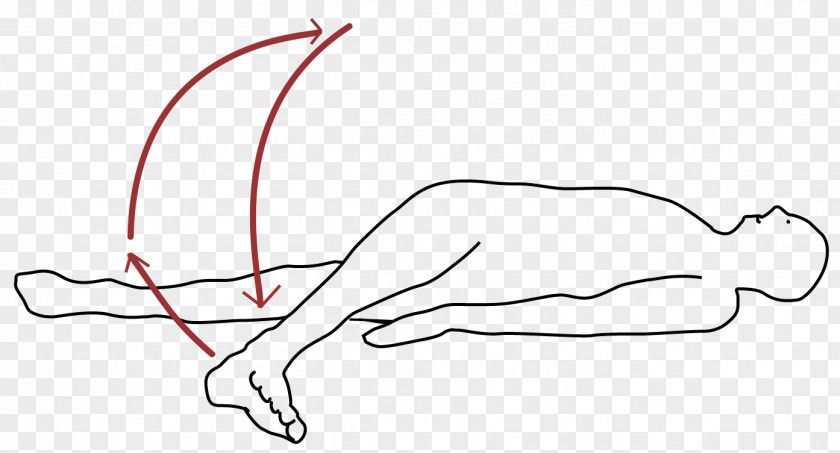 Singlecore Thumb Hip Pilates Human Back Stretching PNG