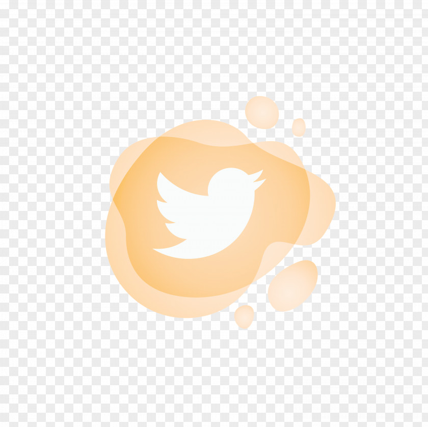 Twitter PNG