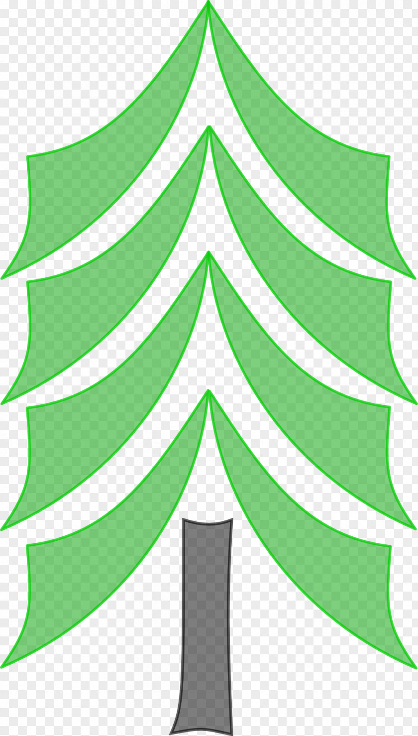 Coconut Tree Vector Pine Conifers Clip Art PNG
