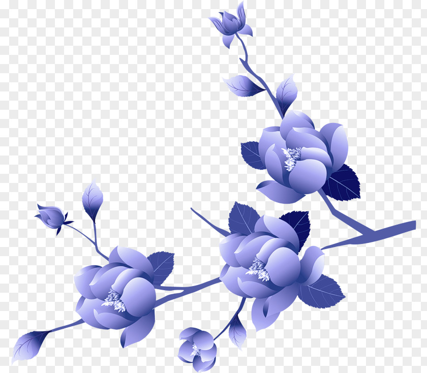 Petal Flowering Plant Lavender PNG