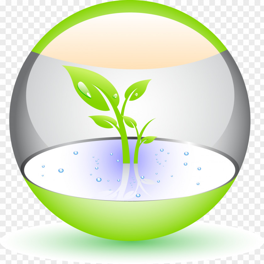 Plant Bulb On PNG