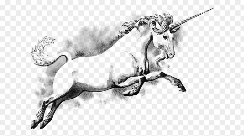 Unicorn The Last Legendary Creature Scotland Fairy Tale PNG