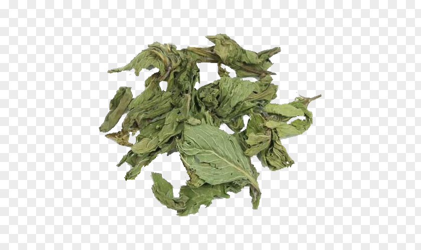 Autumn Leaves Tea China Mentha Spicata Peppermint Herb PNG