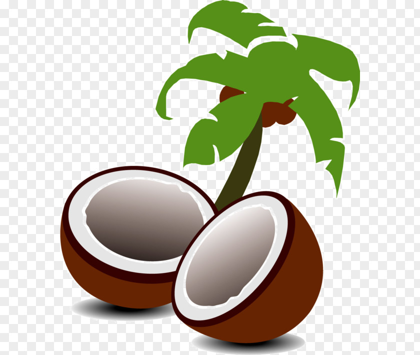 Coconut Arecaceae Tree Clip Art PNG