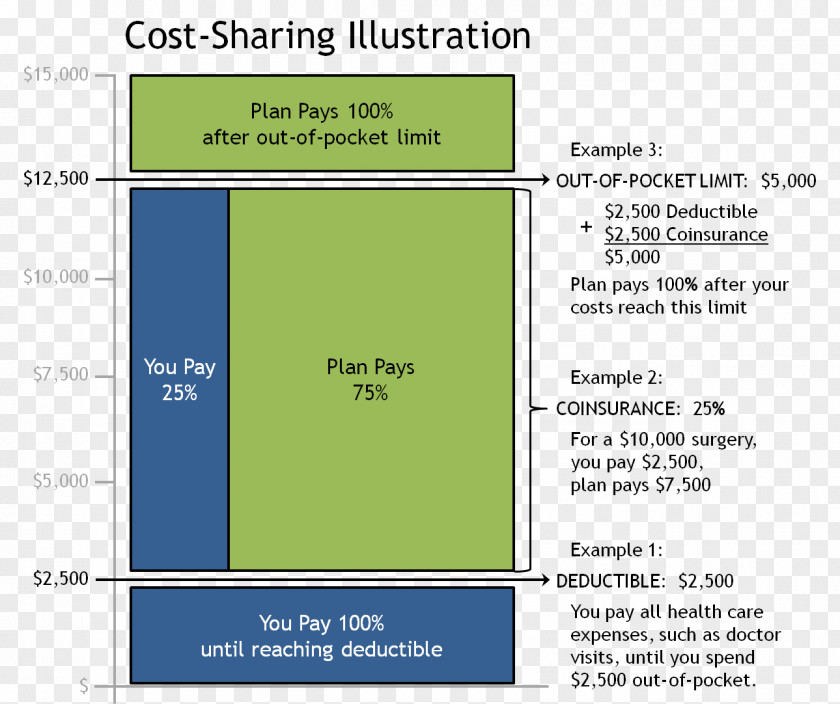 Deductible Cost Sharing Co-insurance Health Insurance PNG