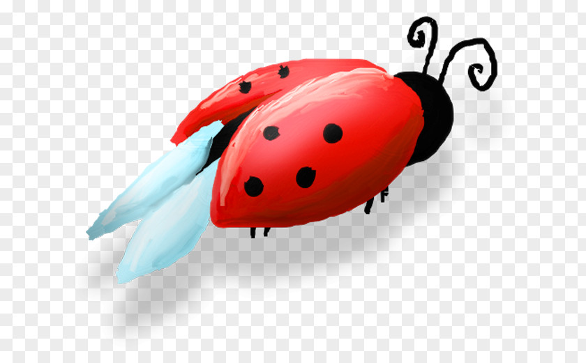 Ladybug Ladybird Beetle Beruu0161ky Clip Art PNG