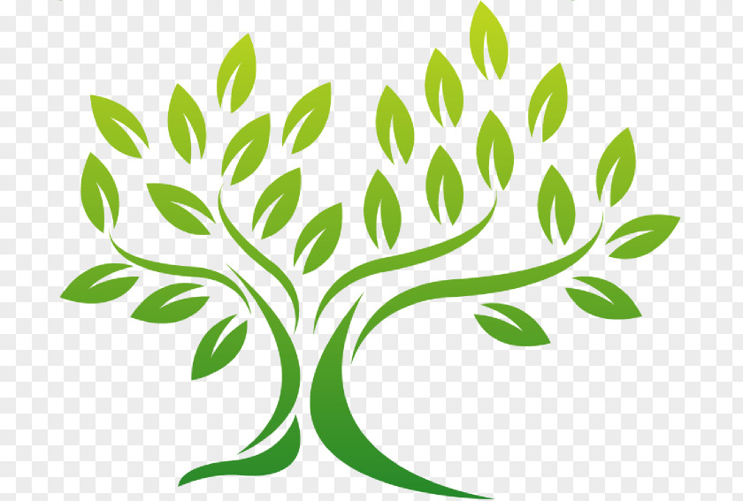 Crown Barnstaple Line Tree Leaf PNG