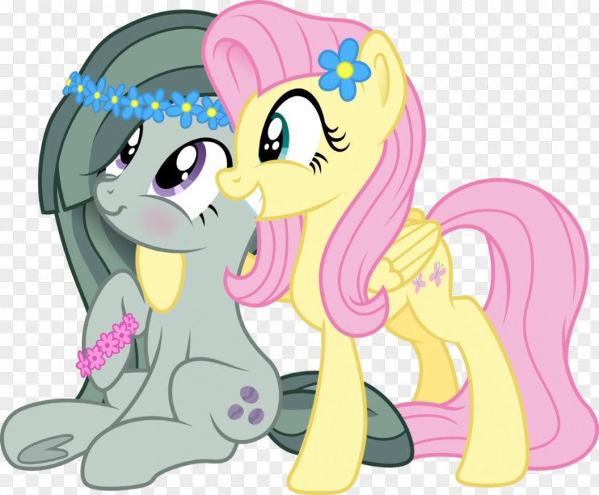 My Little Pony Fluttershy Pinkie Pie Big McIntosh Applejack PNG