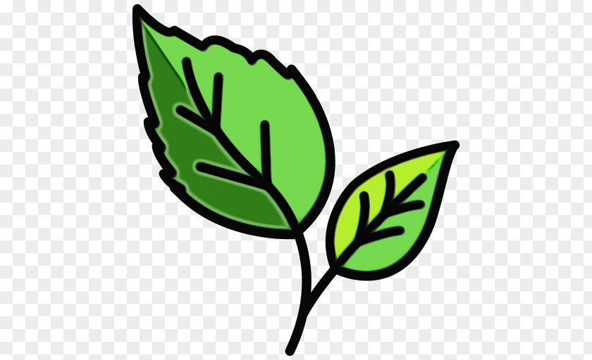 Plant Stem Logo Leaf Green Flower PNG