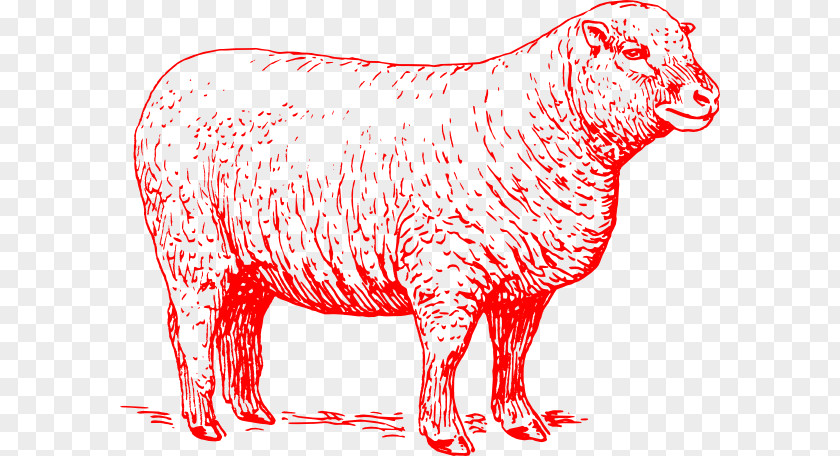 Red Lamb Sheep Livestock Paper Goat Cattle PNG